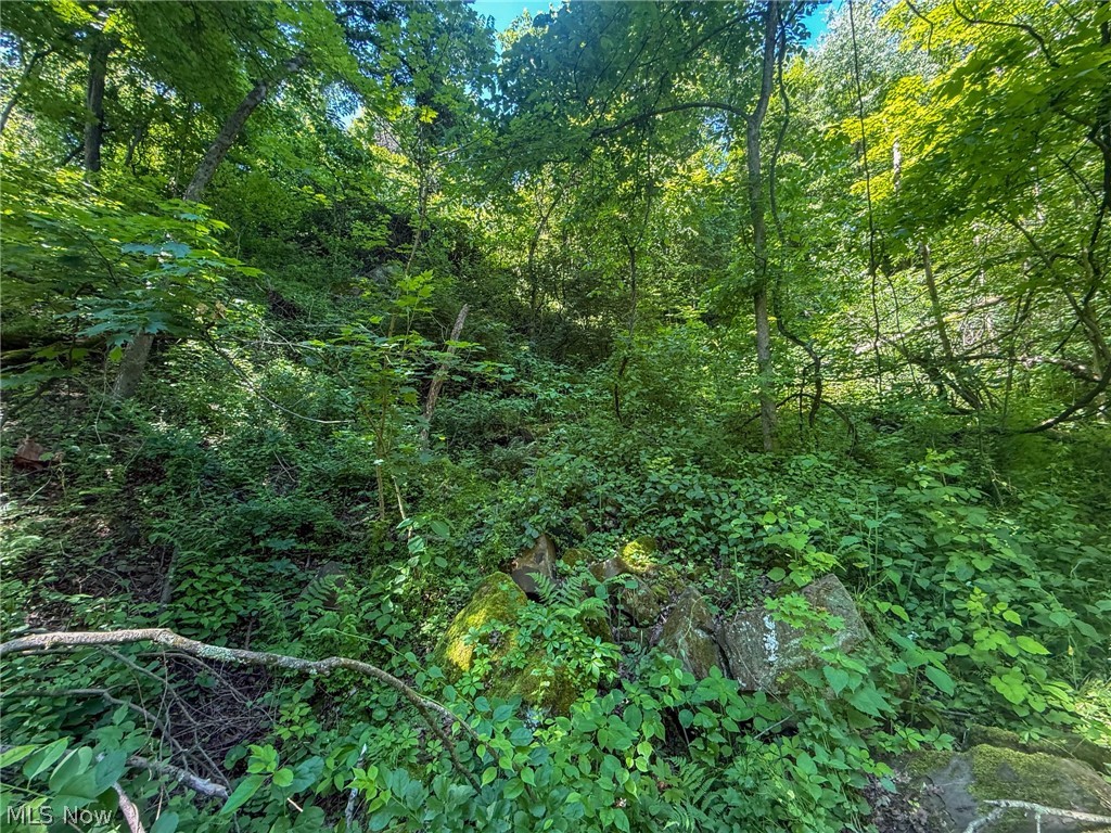 Lot 3 Altamont Road Mingo Junction OH 43938