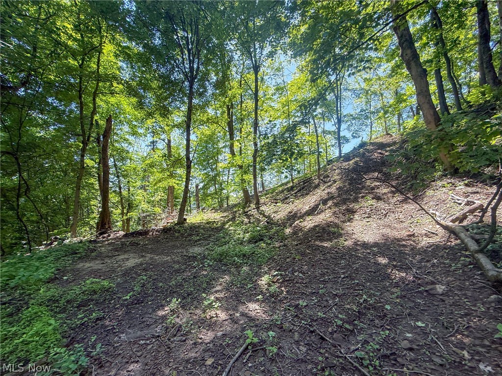 Lot 3 Altamont Road Mingo Junction OH 43938