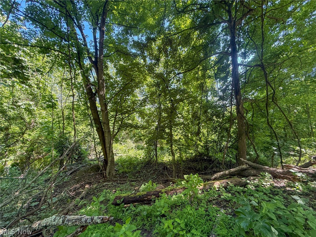 Lot 3 Altamont Road Mingo Junction OH 43938