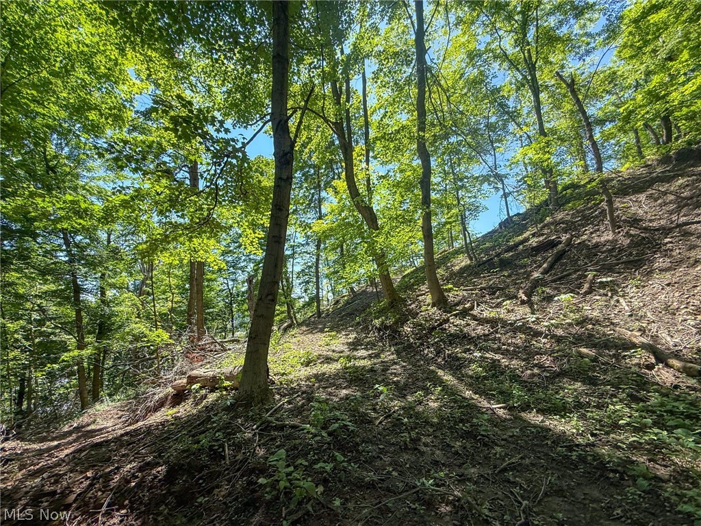 Lot 3 Altamont Road Mingo Junction OH 43938