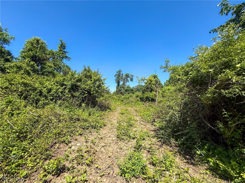 Lot 3 Altamont Road Mingo Junction OH 43938