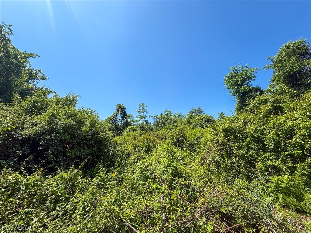 Lot 3 Altamont Road Mingo Junction OH 43938