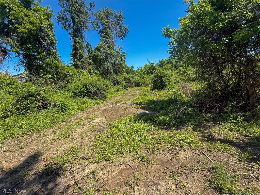 Lot 3 Altamont Road Mingo Junction OH 43938
