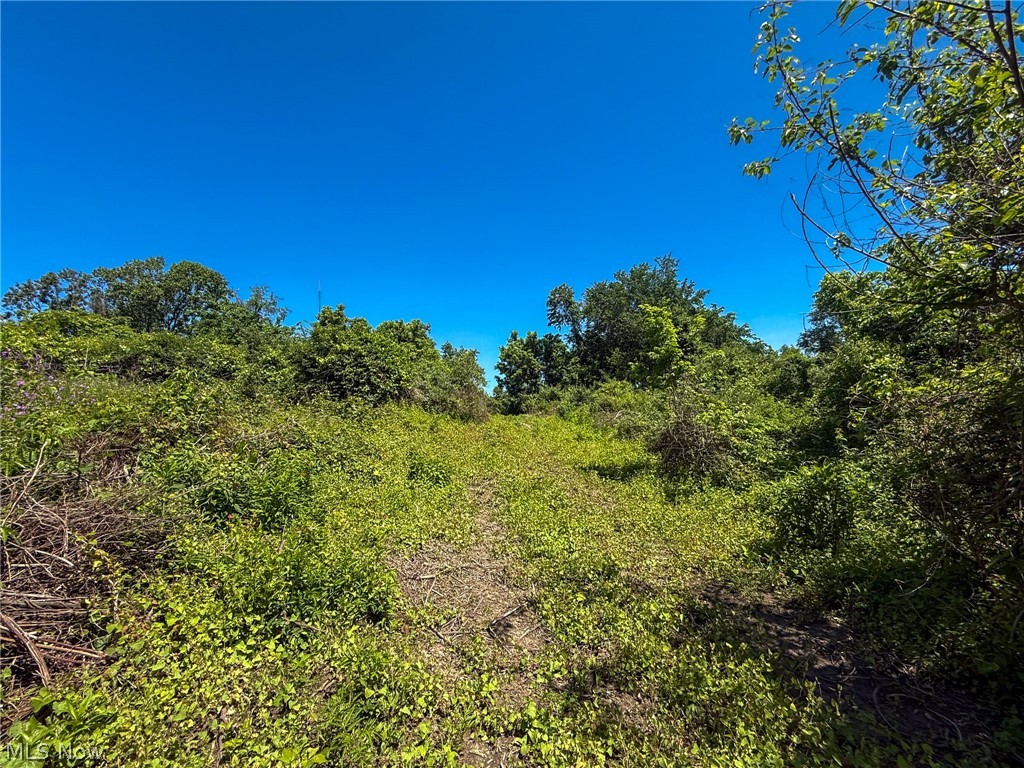 Lot 3 Altamont Road Mingo Junction OH 43938