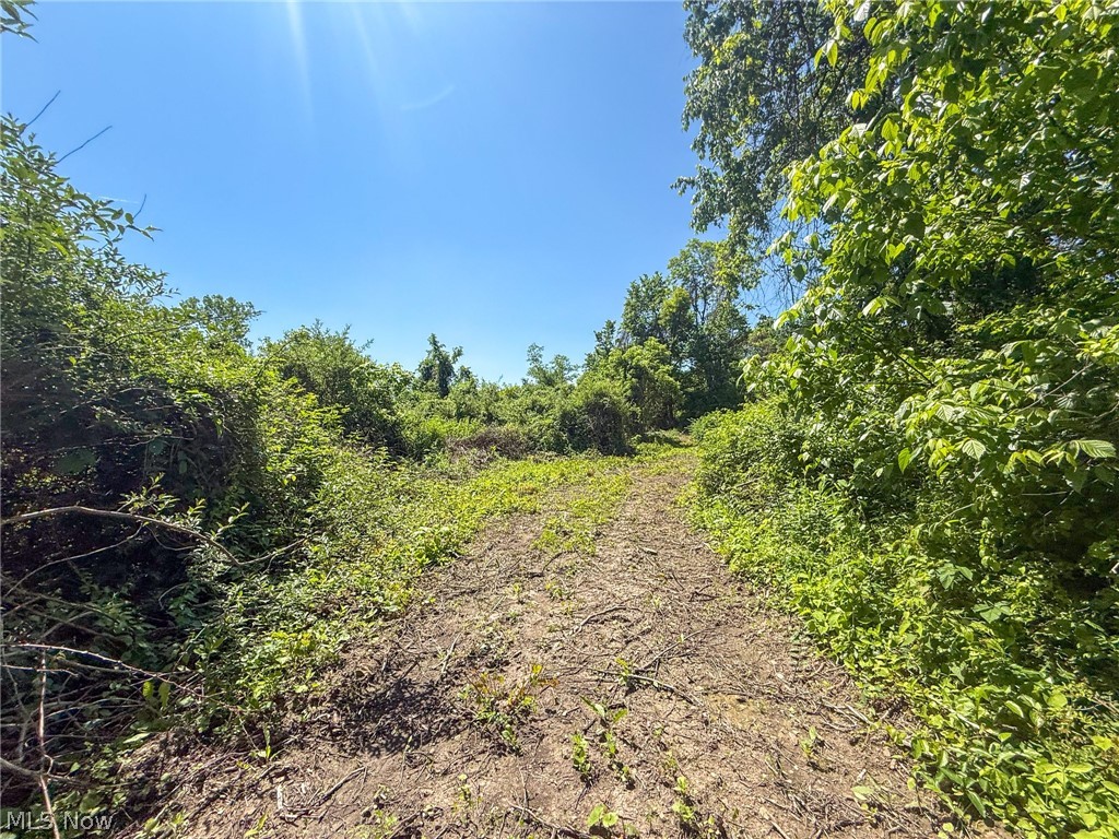 Lot 3 Altamont Road Mingo Junction OH 43938