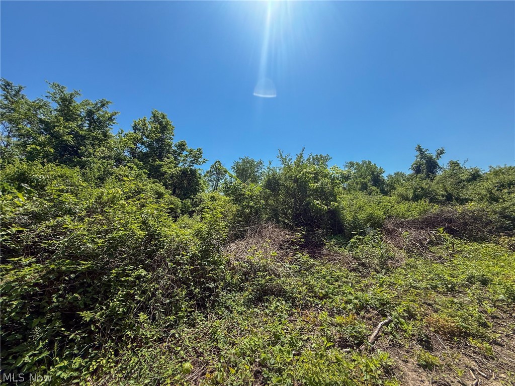 Lot 3 Altamont Road Mingo Junction OH 43938