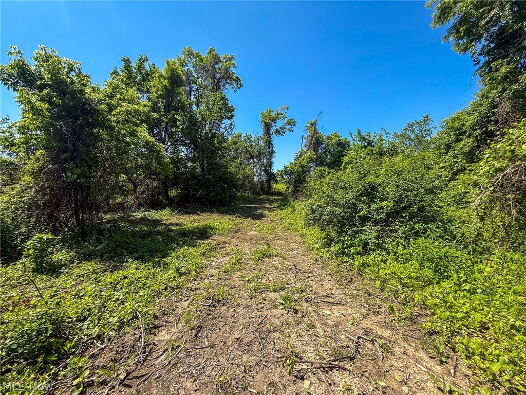 Lot 3 Altamont Road Mingo Junction OH 43938