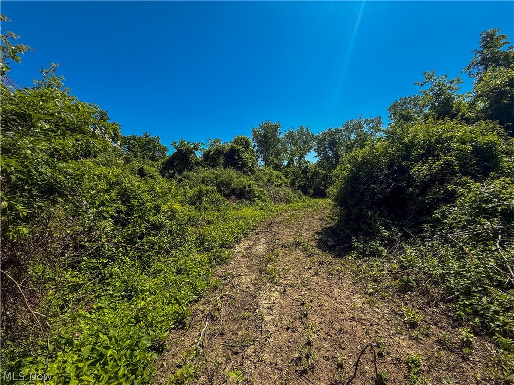 Lot 3 Altamont Road Mingo Junction OH 43938