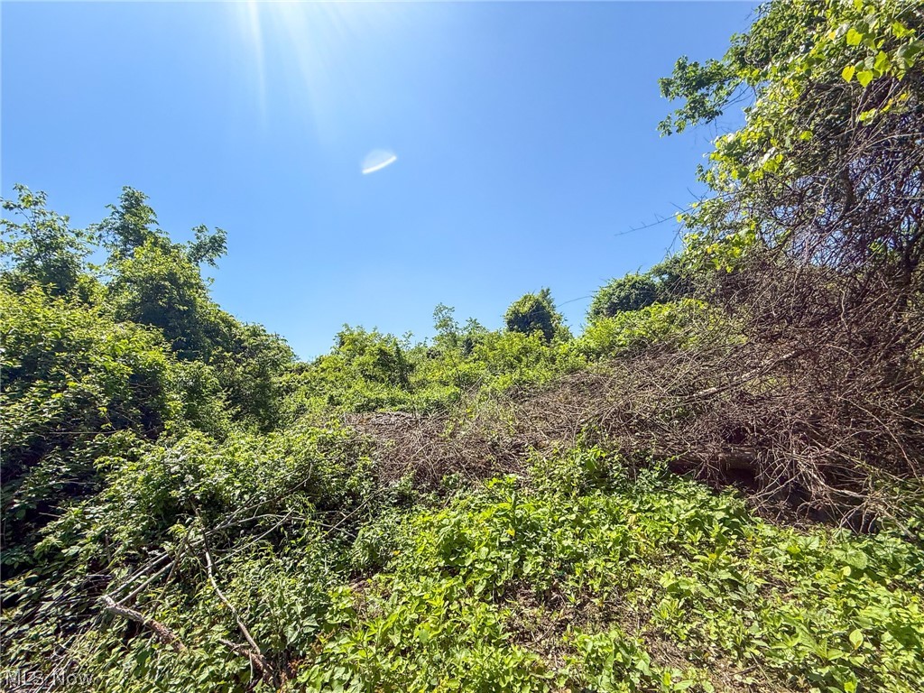 Lot 3 Altamont Road Mingo Junction OH 43938