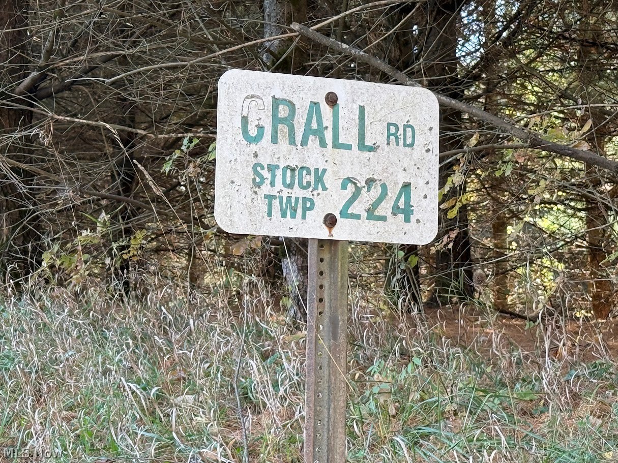 6ACRES Buxton Road Scio OH 43988