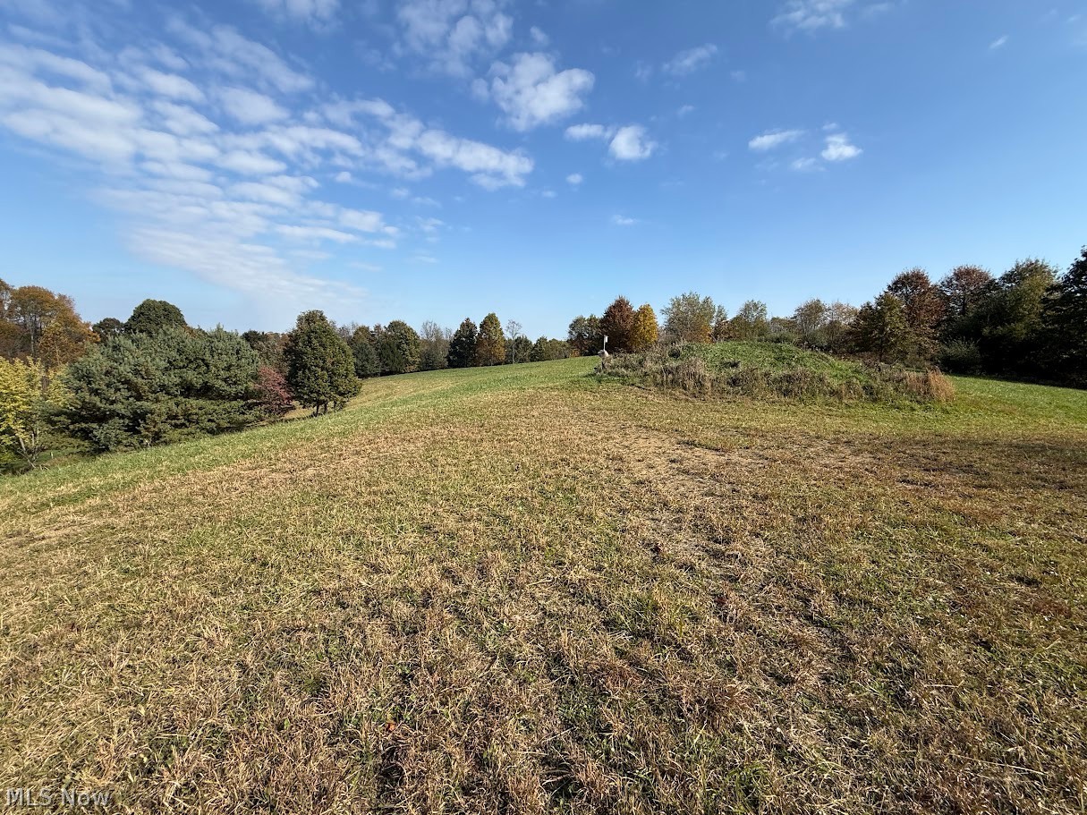 6ACRES Buxton Road Scio OH 43988