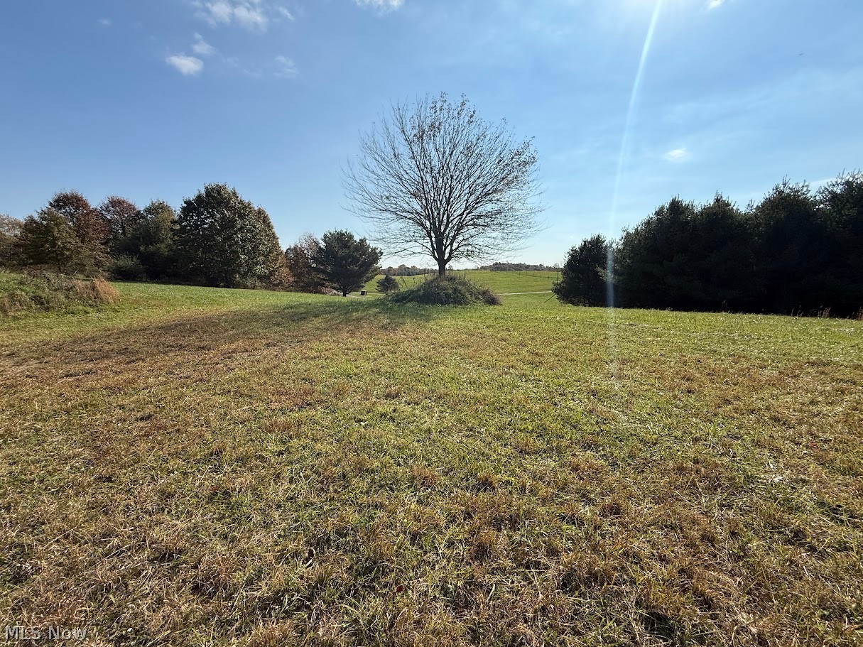 6ACRES Buxton Road Scio OH 43988