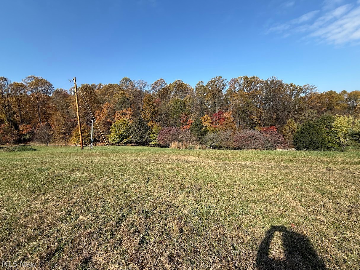 6ACRES Buxton Road Scio OH 43988