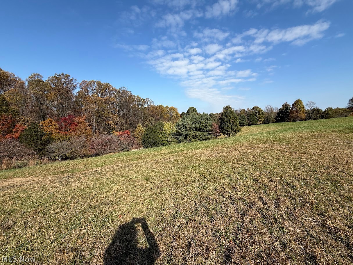 6ACRES Buxton Road Scio OH 43988