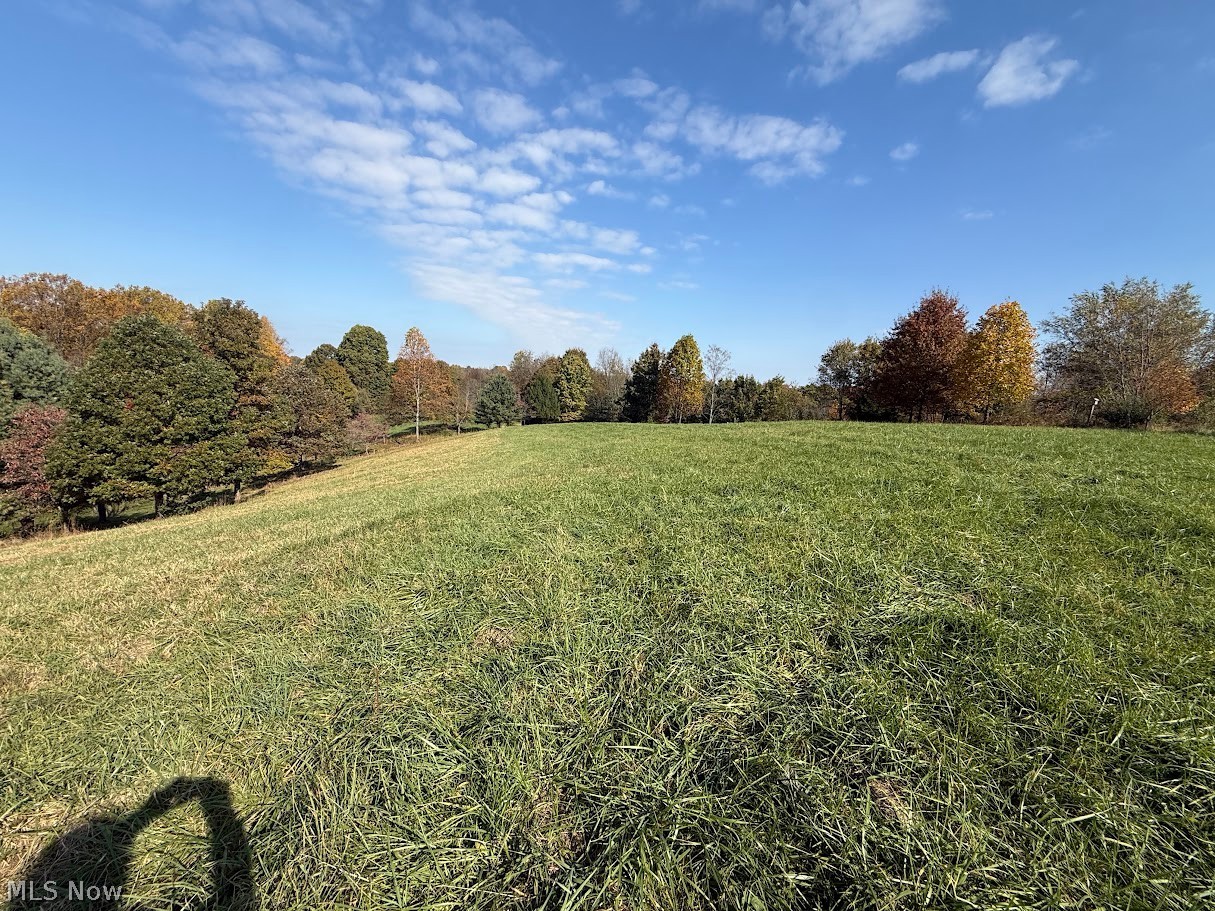 6ACRES Buxton Road Scio OH 43988