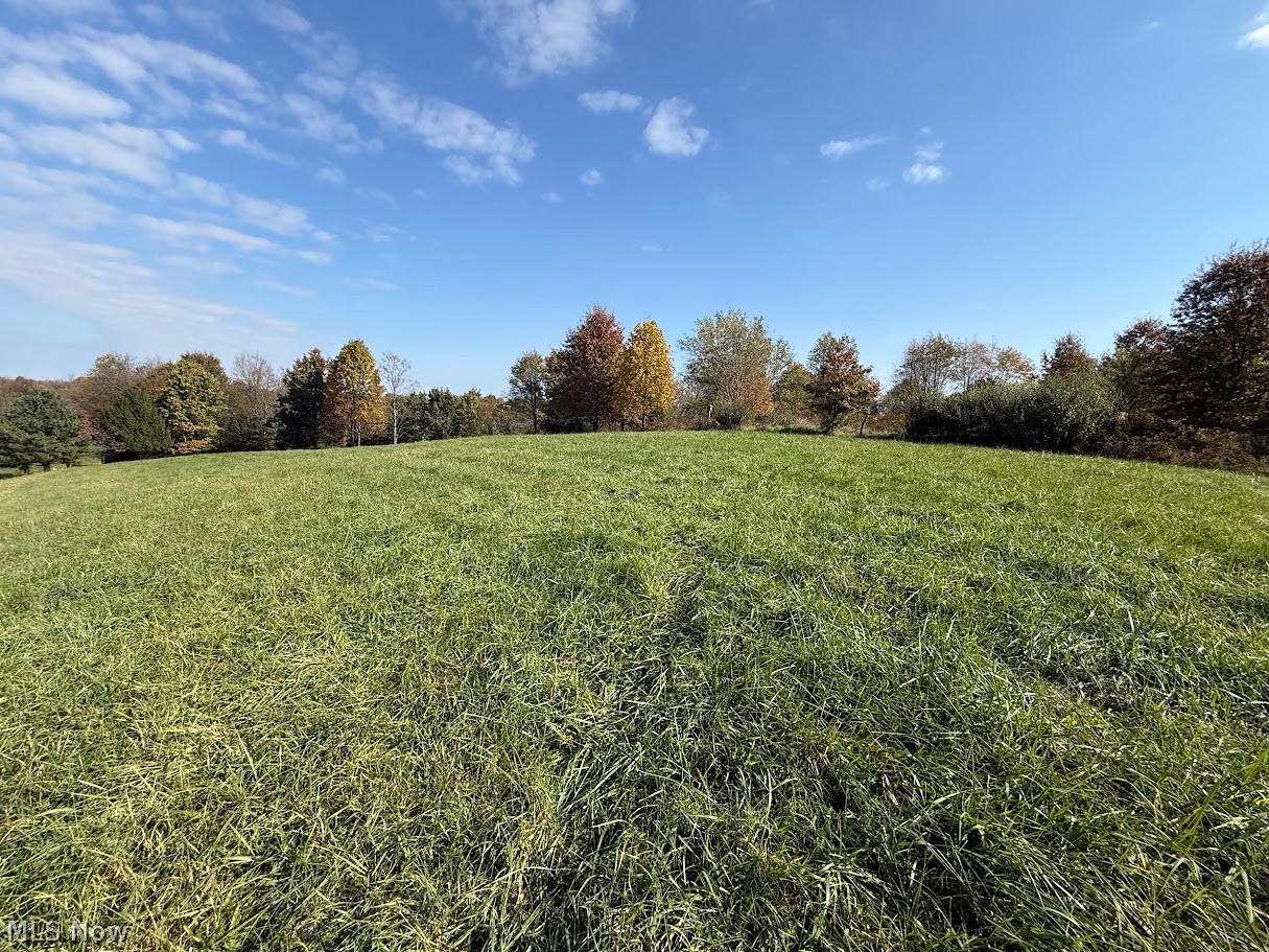 6ACRES Buxton Road Scio OH 43988