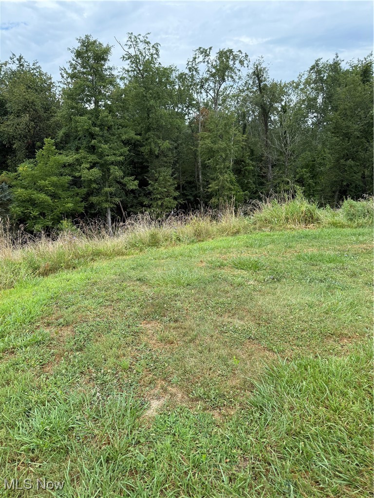 Terra Ridge Lane Dillonvale OH 43912