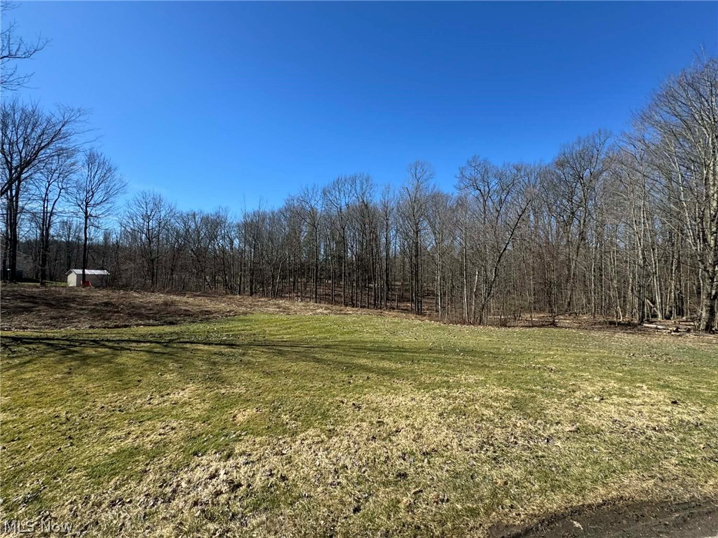 Buttonwood Lane Ashtabula OH 44004