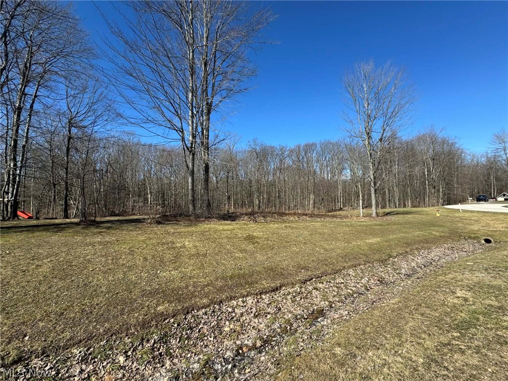 Buttonwood Lane Ashtabula OH 44004