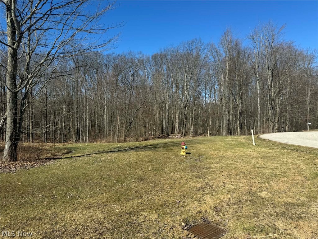 Buttonwood Lane Ashtabula OH 44004