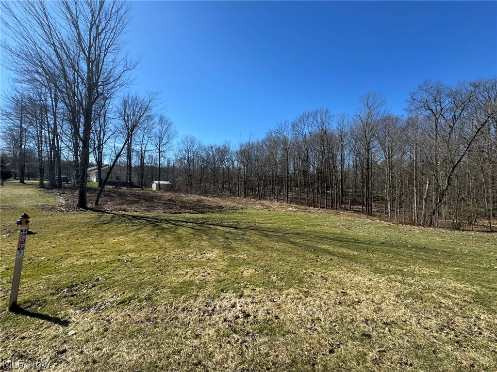 Buttonwood Lane Ashtabula OH 44004