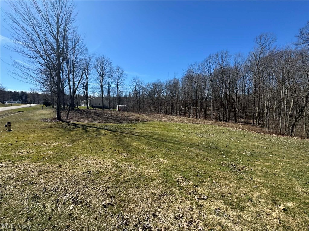 Buttonwood Lane Ashtabula OH 44004
