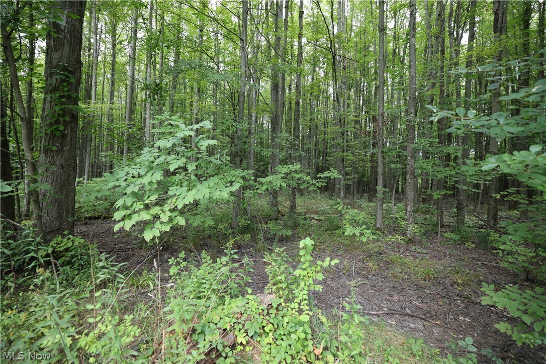740 Footville Richmond Road E Jefferson OH 44047