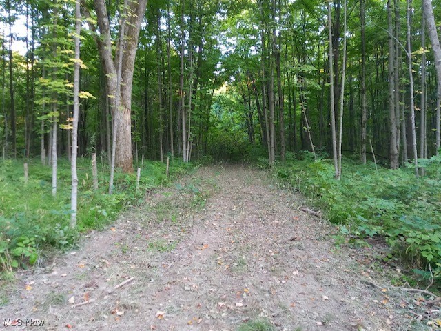 8123 Vandemark Road Lodi OH 44254