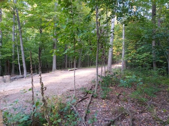 8123 Vandemark Road Lodi OH 44254
