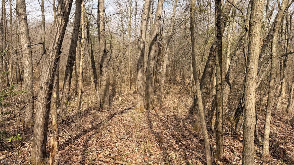 Addison Road Brookfield OH 44438