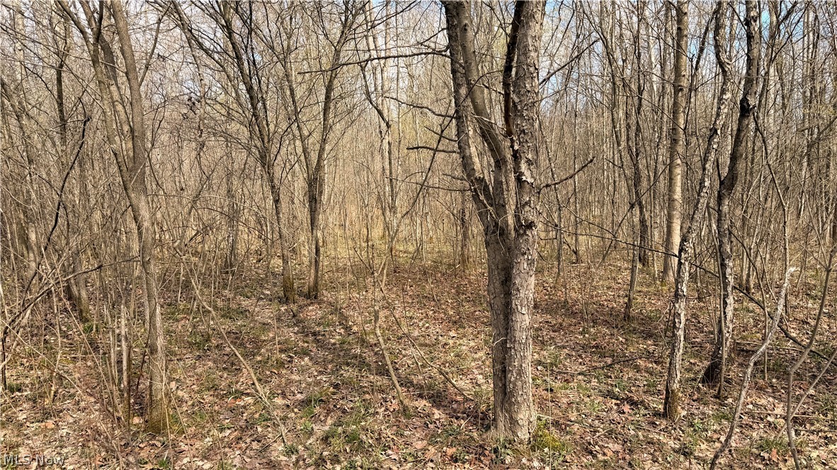 Addison Road Brookfield OH 44438