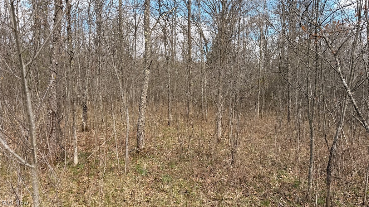Addison Road Brookfield OH 44438