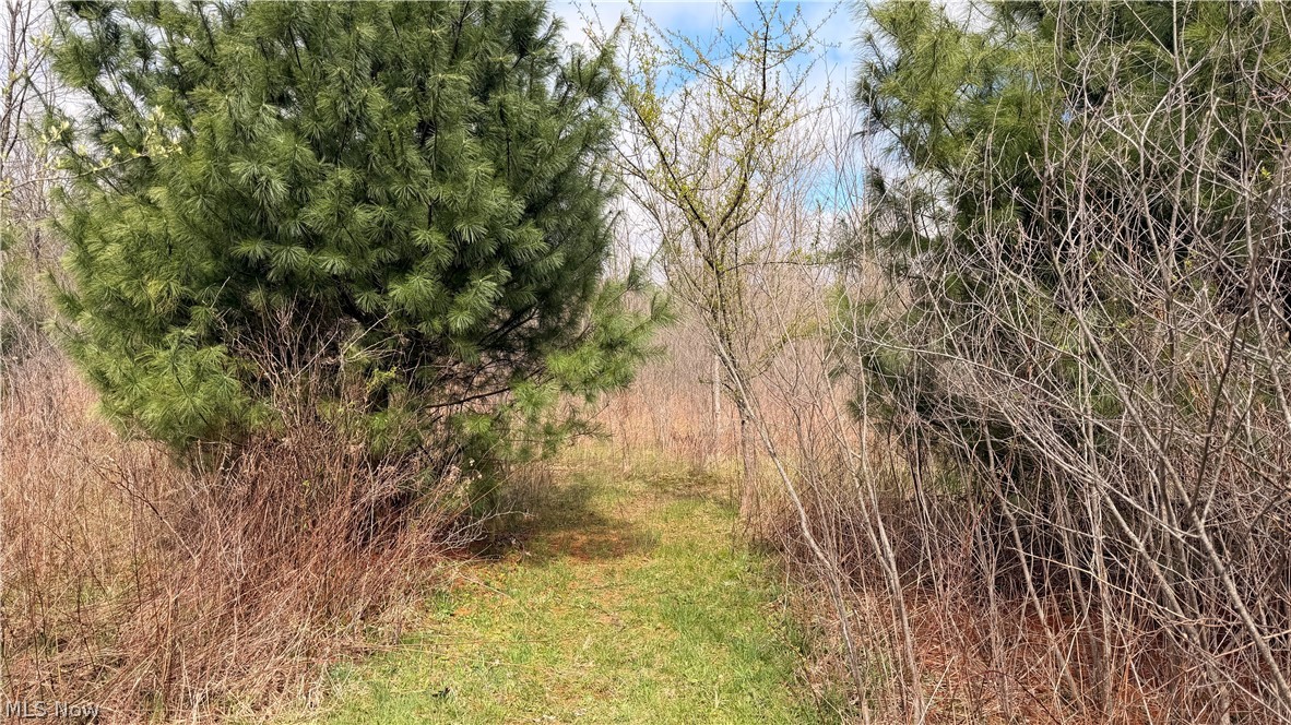 Addison Road Brookfield OH 44438