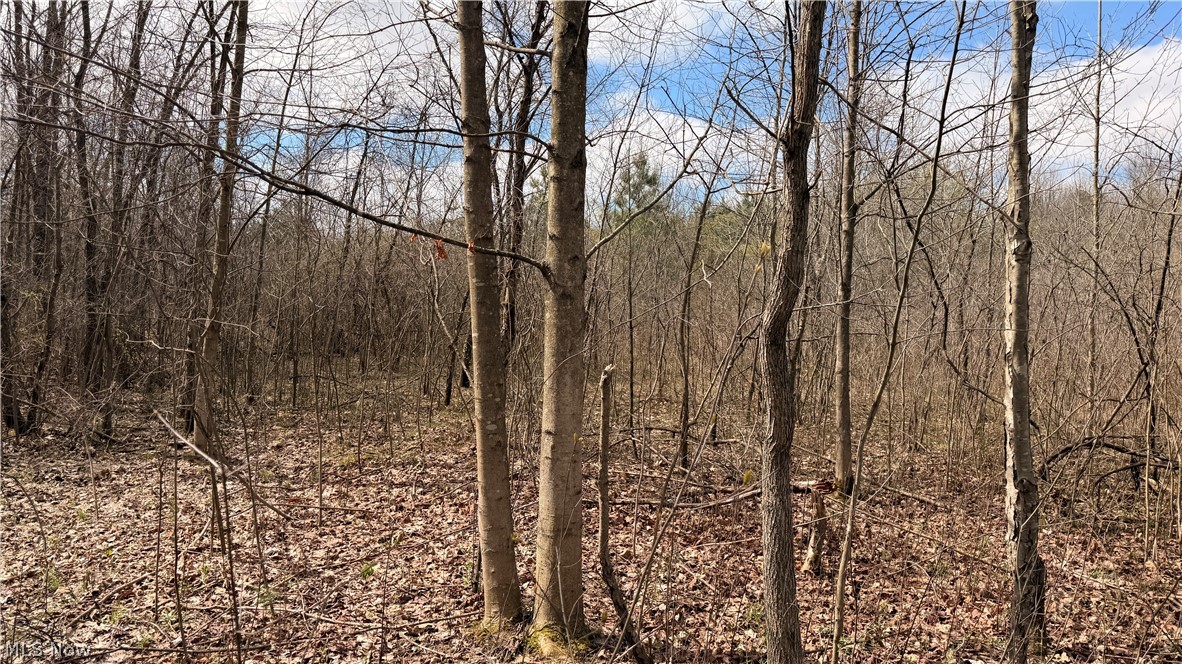 Addison Road Brookfield OH 44438