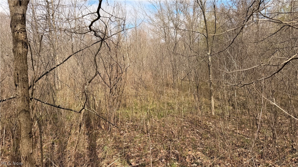 Addison Road Brookfield OH 44438
