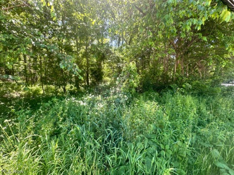 N Ridge Road Madison OH 44057