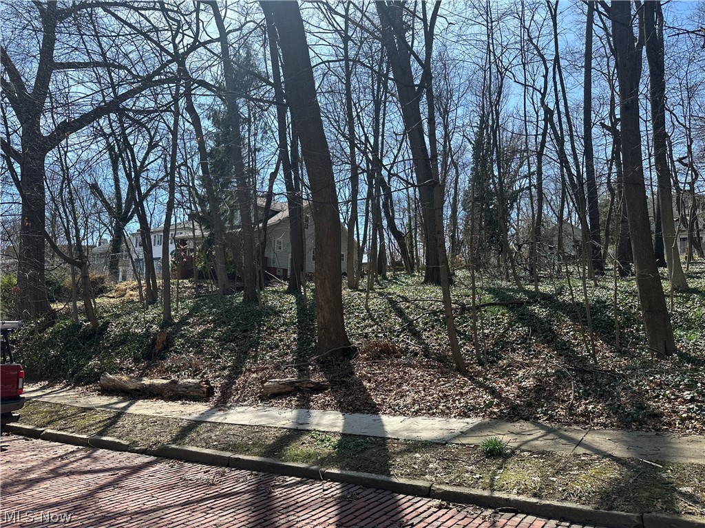 Plot A Weber Avenue Akron OH 44303