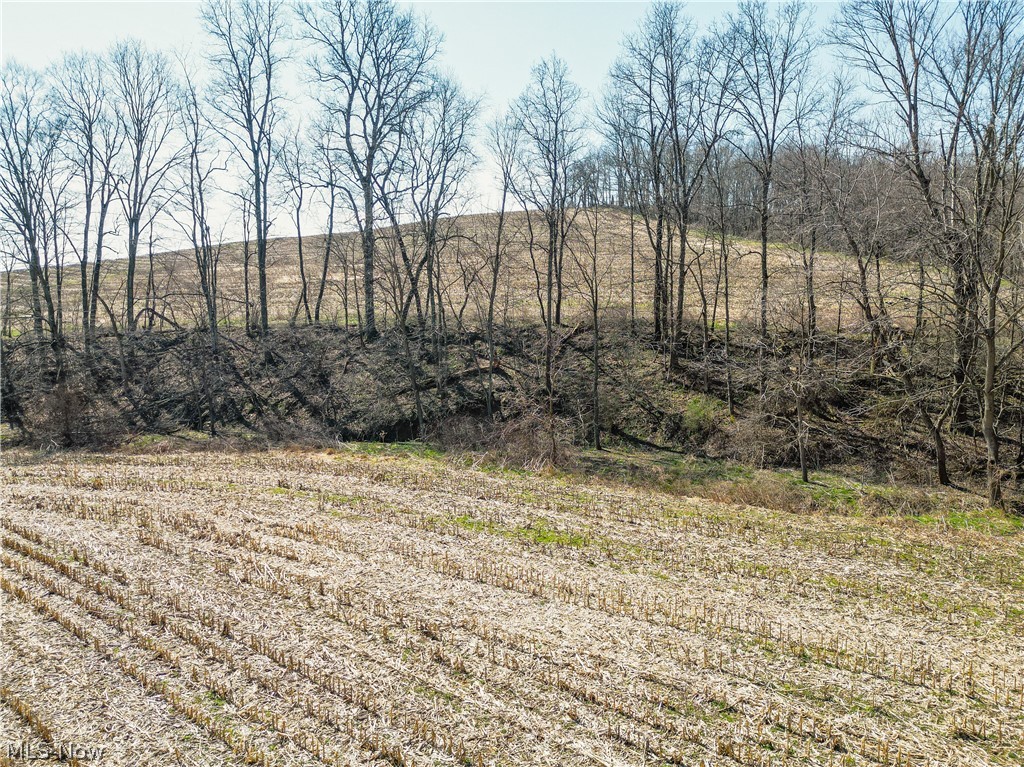 Endlich Road Fresno OH 43840