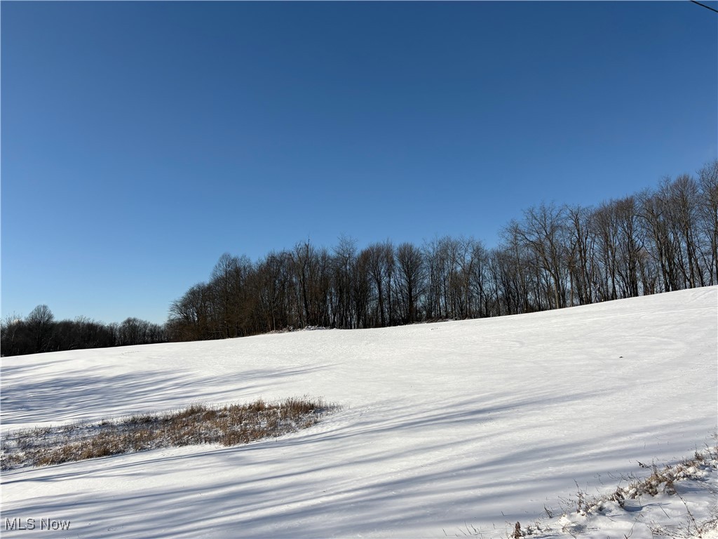 Township Road 164 Salineville OH 43945