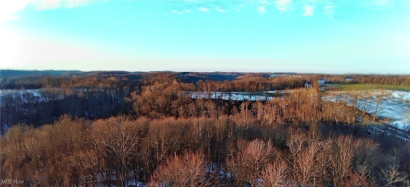 Township Road 164 Salineville OH 43945