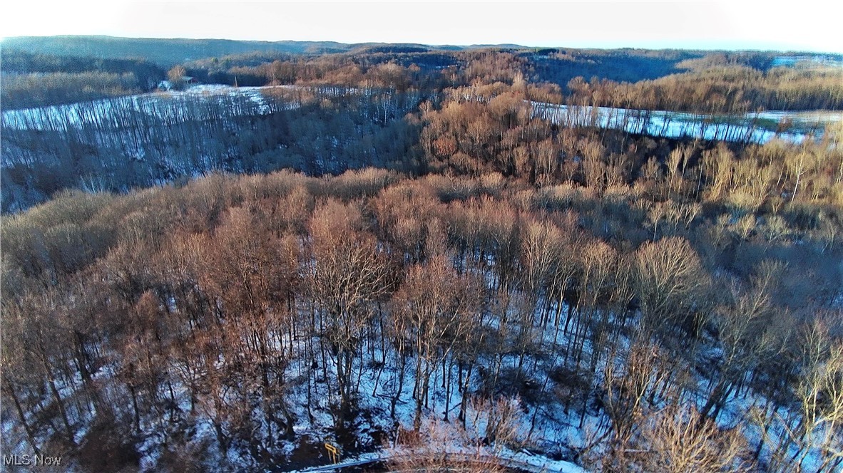 Township Road 164 Salineville OH 43945