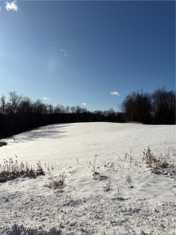 Township Road 164 Salineville OH 43945