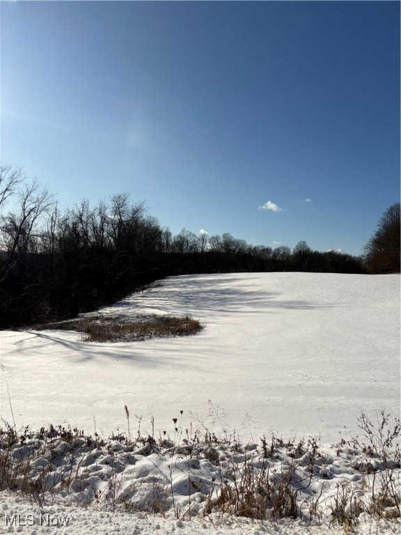 Township Road 164 Salineville OH 43945