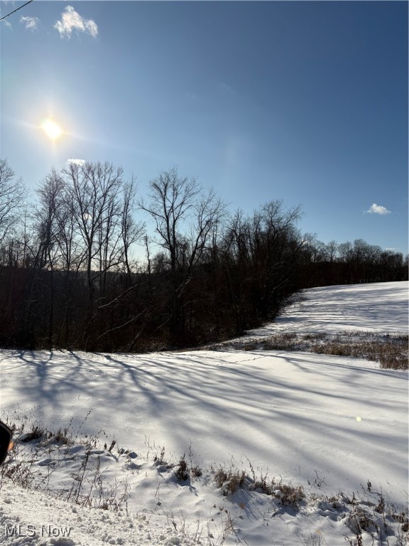 Township Road 164 Salineville OH 43945