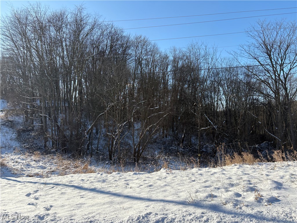 Township Road 164 Salineville OH 43945