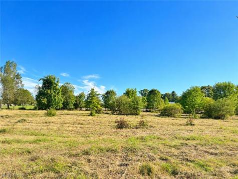 Lot #2 W Smith Road Medina OH 44256