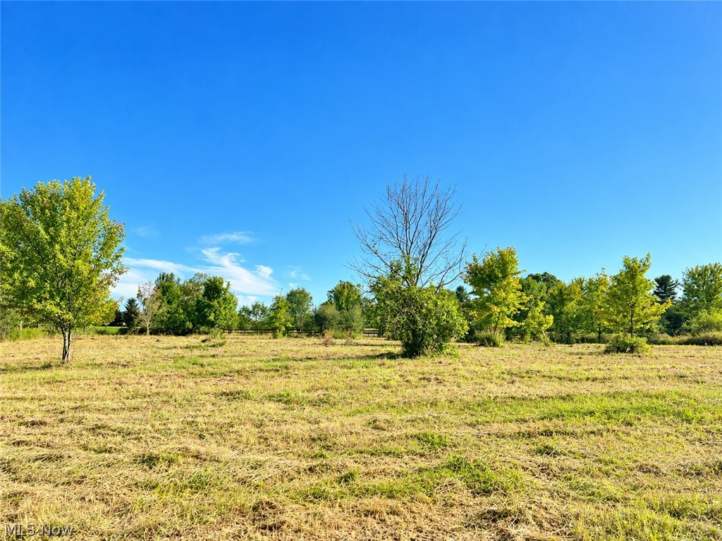 Lot #2 W Smith Road Medina OH 44256