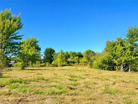 Lot #2 W Smith Road Medina OH 44256