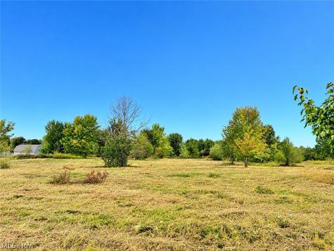 Lot #2 W Smith Road Medina OH 44256