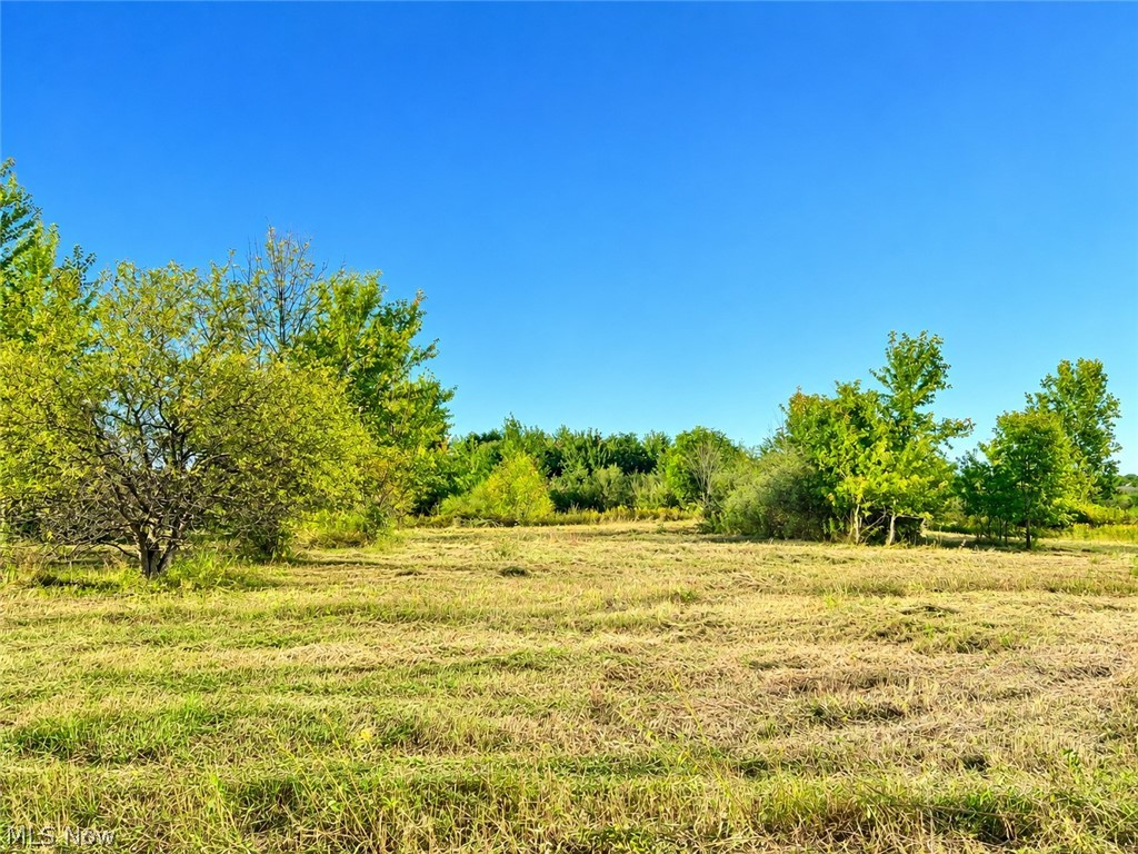 Lot #2 W Smith Road Medina OH 44256